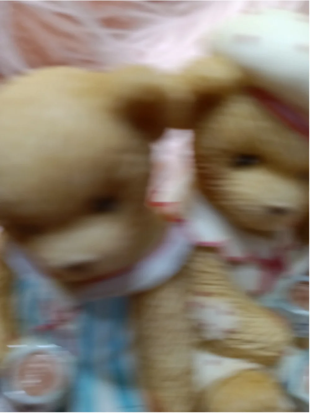 Cherished Teddies “Our Friendship Is The Perfect Blend” Marnie & Rissa Coffee
